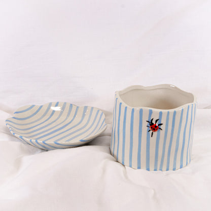 Ladybug Striped Pot