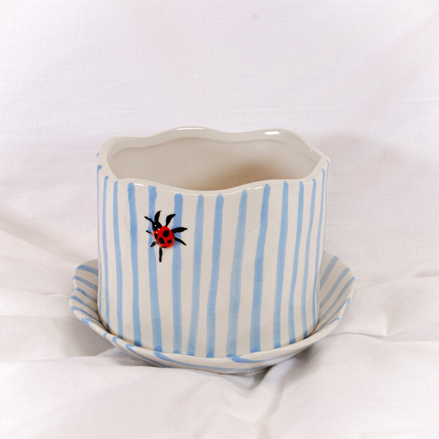 Ladybug Striped Pot