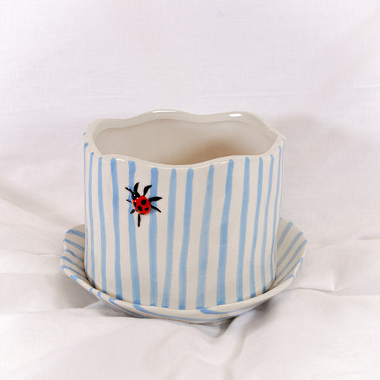 Ladybug Striped Pot