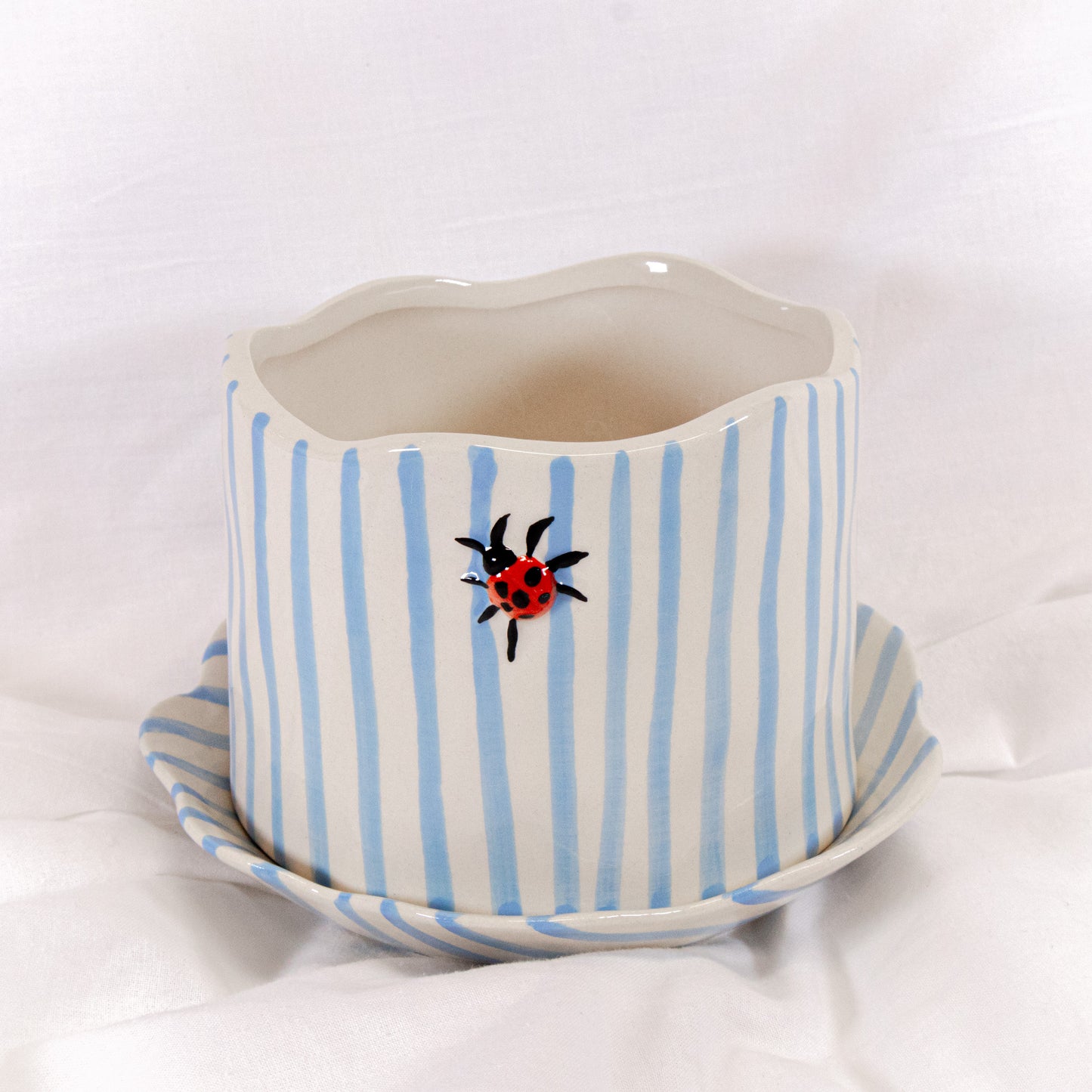 Ladybug Striped Pot