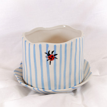 Ladybug Striped Pot