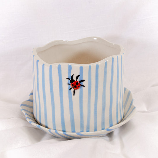 Ladybug Striped Pot