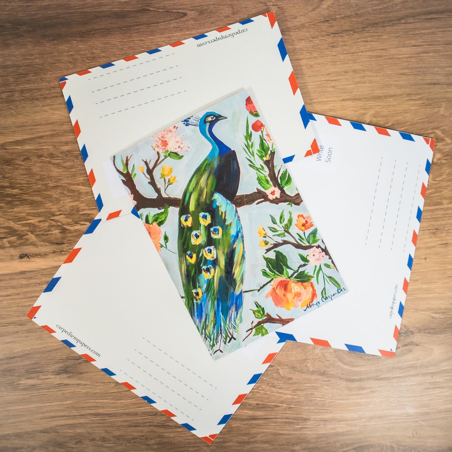 Peacock Postcard