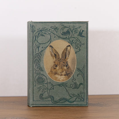 Birds And Bunnies Book Storage Box
