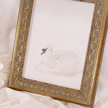 White Swan Framed Wall Art