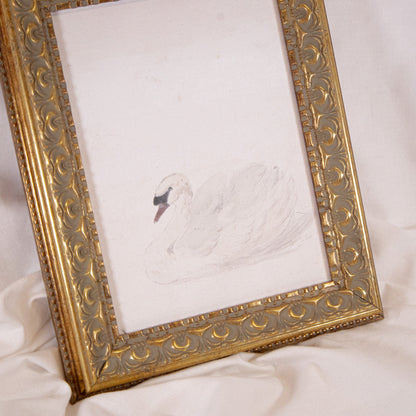 White Swan Framed Wall Art