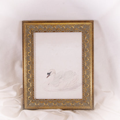 White Swan Framed Wall Art
