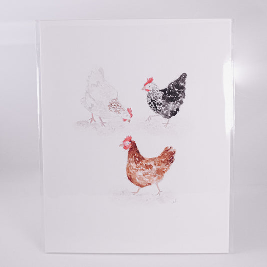 Chickens Wall Art Print