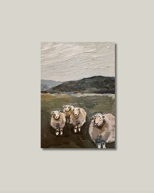 Field Of Sheep Wall Art Print