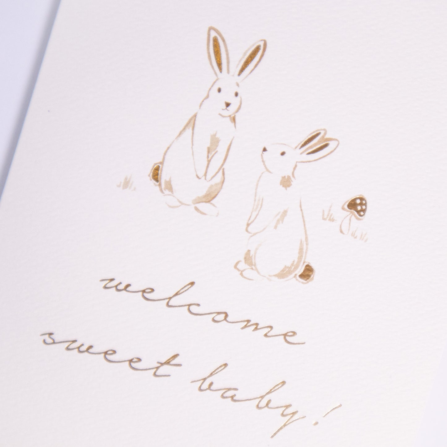 Welcome Baby Bunnies Greeting Card