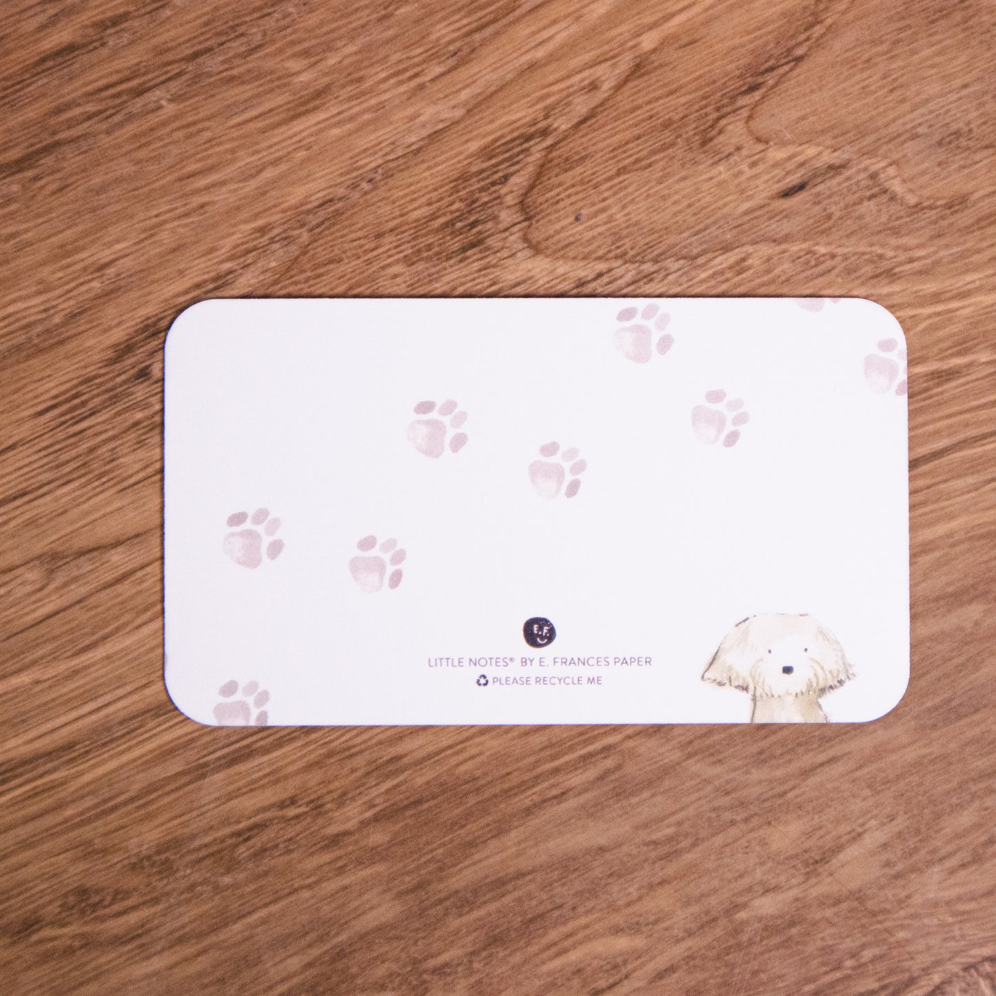 Watercolor Dogs Mini Notecard Set