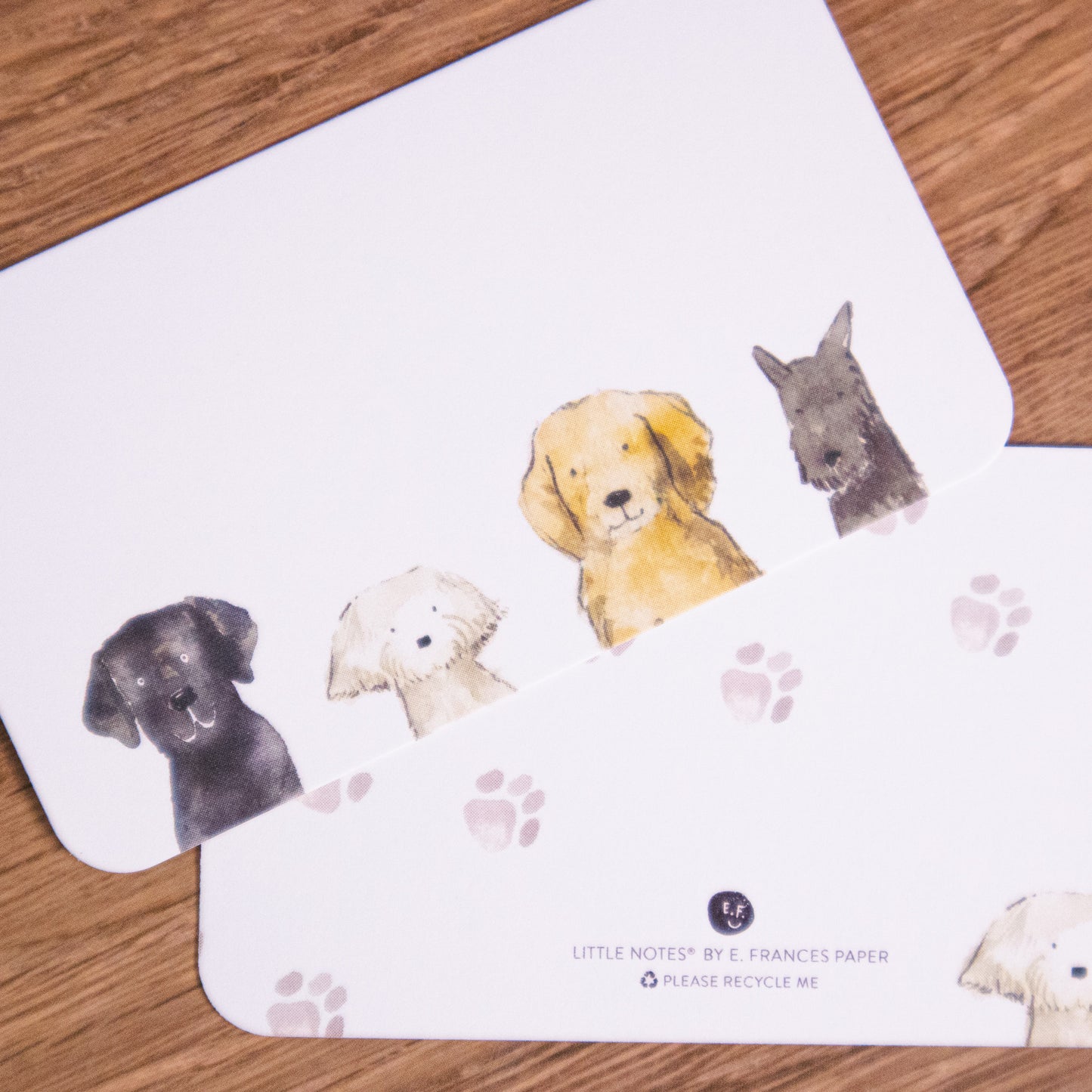 Watercolor Dogs Mini Notecard Set