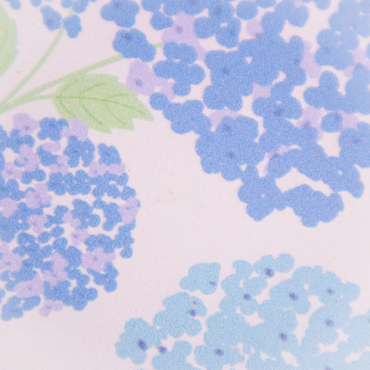Hydrangea Coaster Set