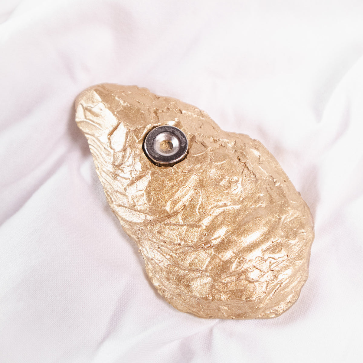 Flora and Fauna Shell-Shaped Magnets