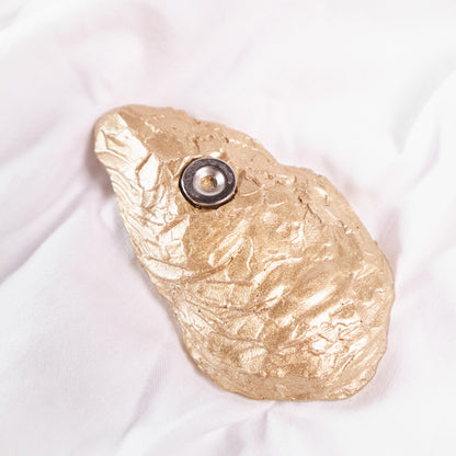Flora and Fauna Shell-Shaped Magnets