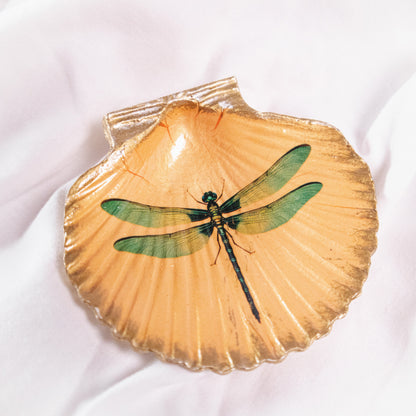 Flora and Fauna Shell-Shaped Magnets