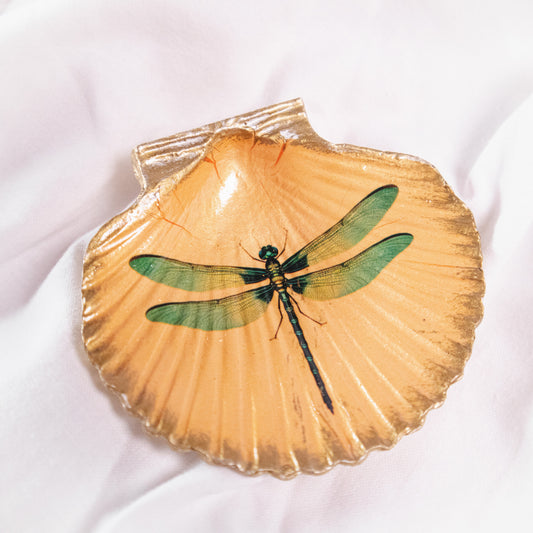 Flora and Fauna Shell-Shaped Magnets