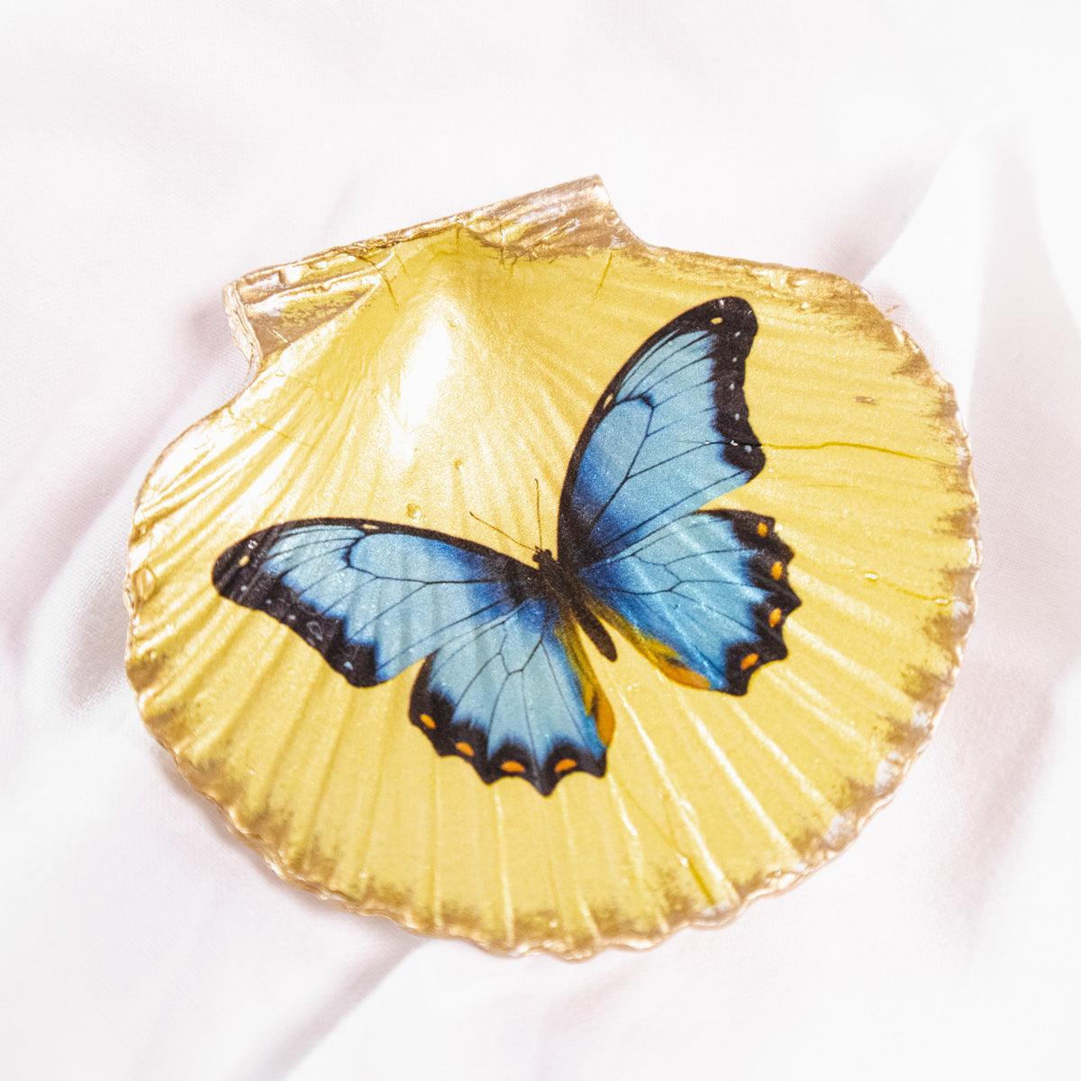 Flora and Fauna Shell-Shaped Magnets