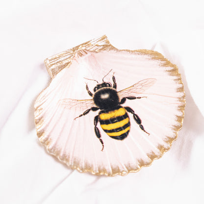 Flora and Fauna Shell-Shaped Magnets