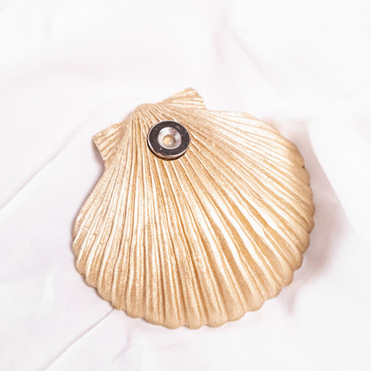 Flora and Fauna Shell-Shaped Magnets