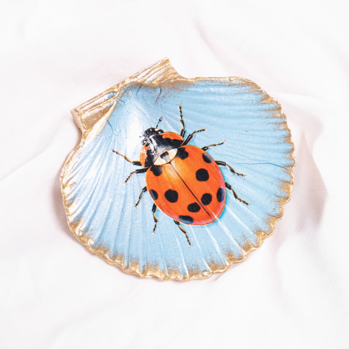 Flora and Fauna Shell-Shaped Magnets