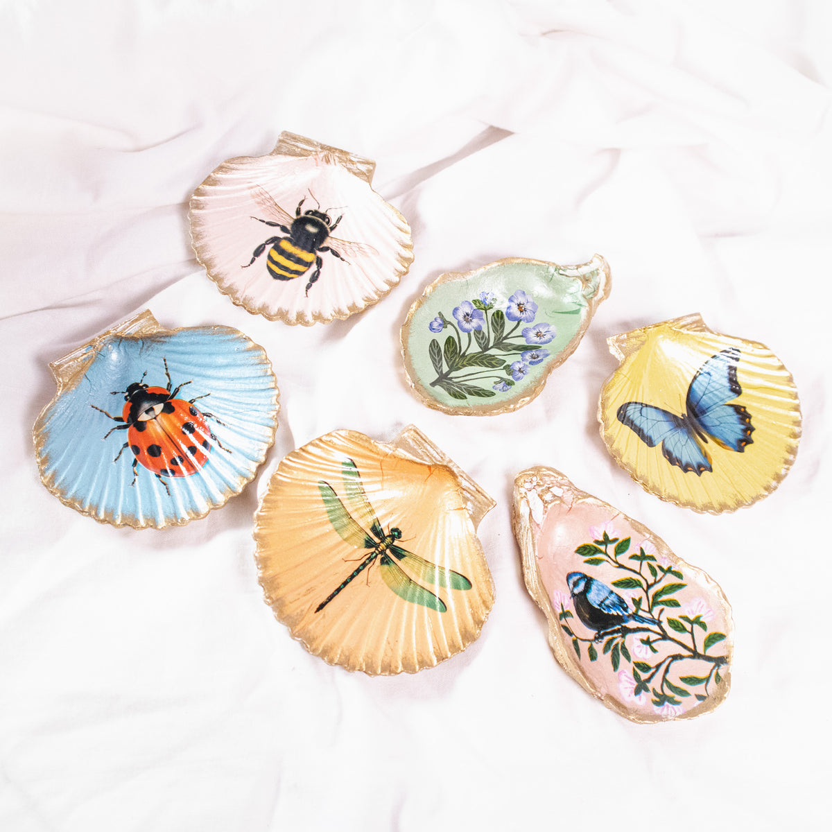 Flora and Fauna Shell-Shaped Magnets