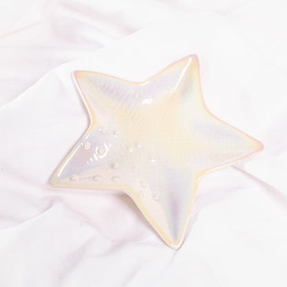 Iridescent Seashell Tray