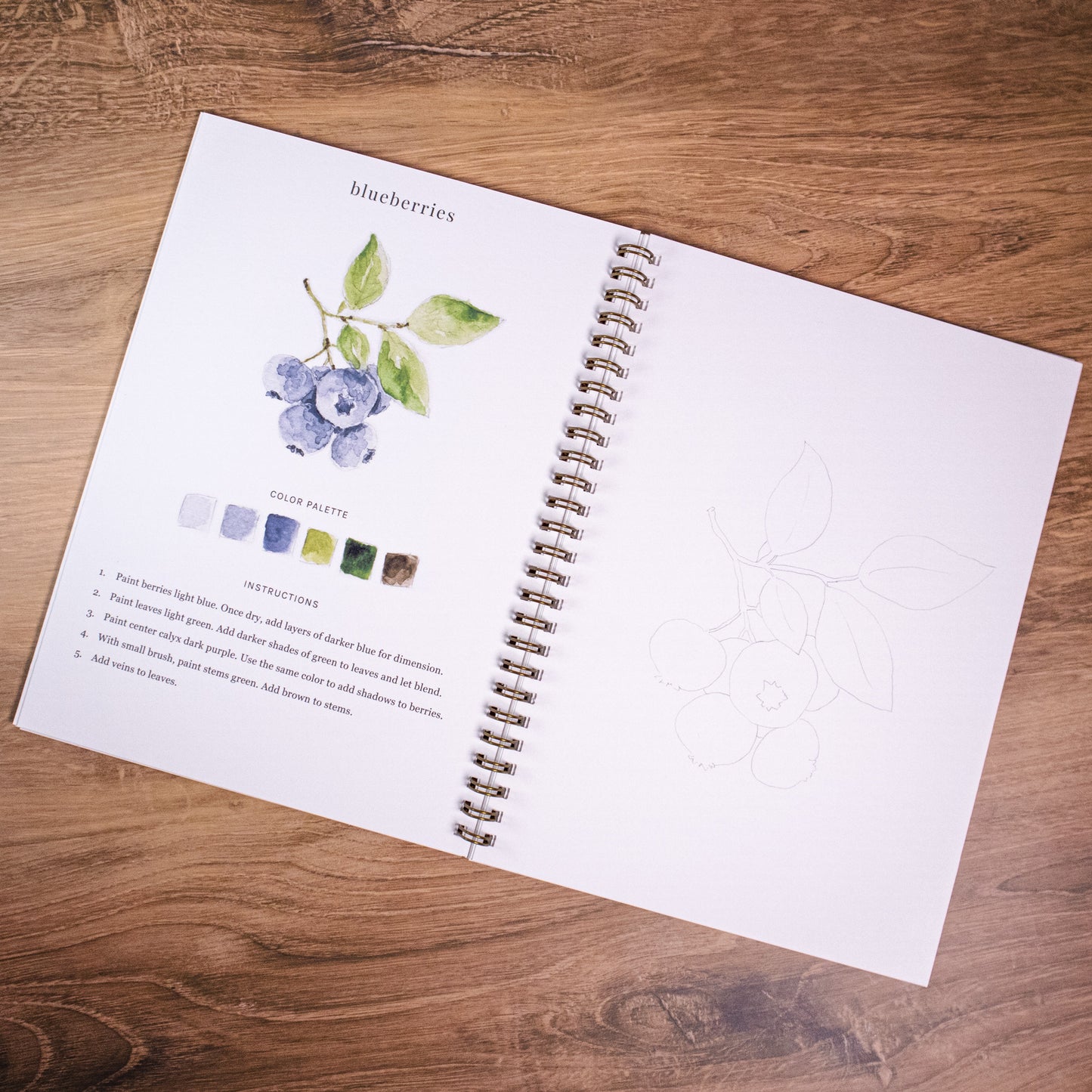 Fruit Watercolor Workbook