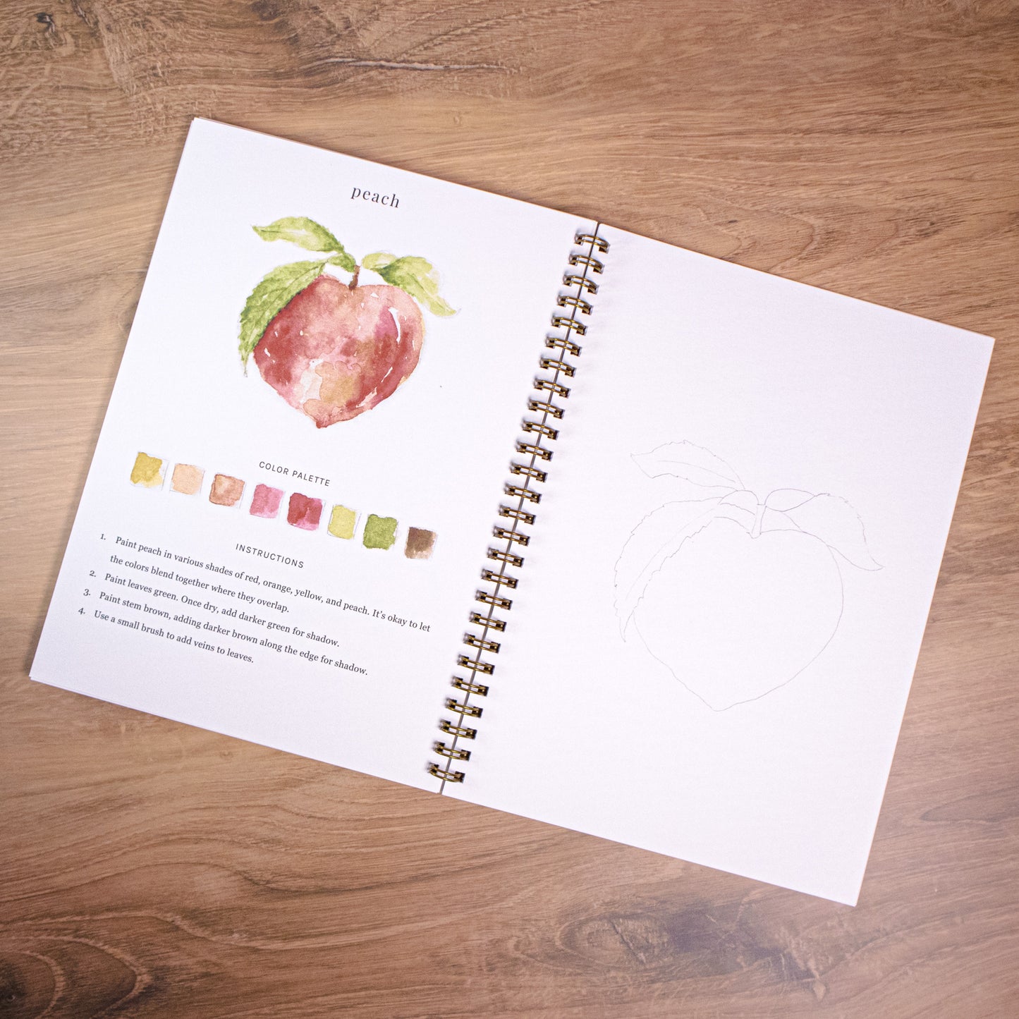 Fruit Watercolor Workbook