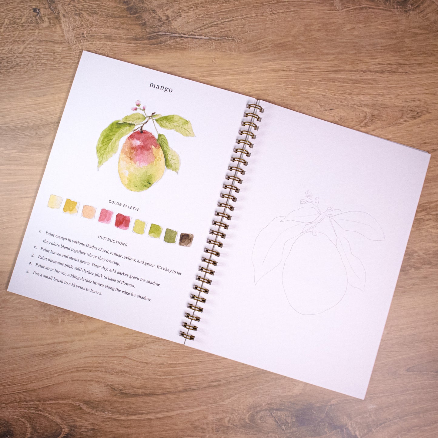 Fruit Watercolor Workbook