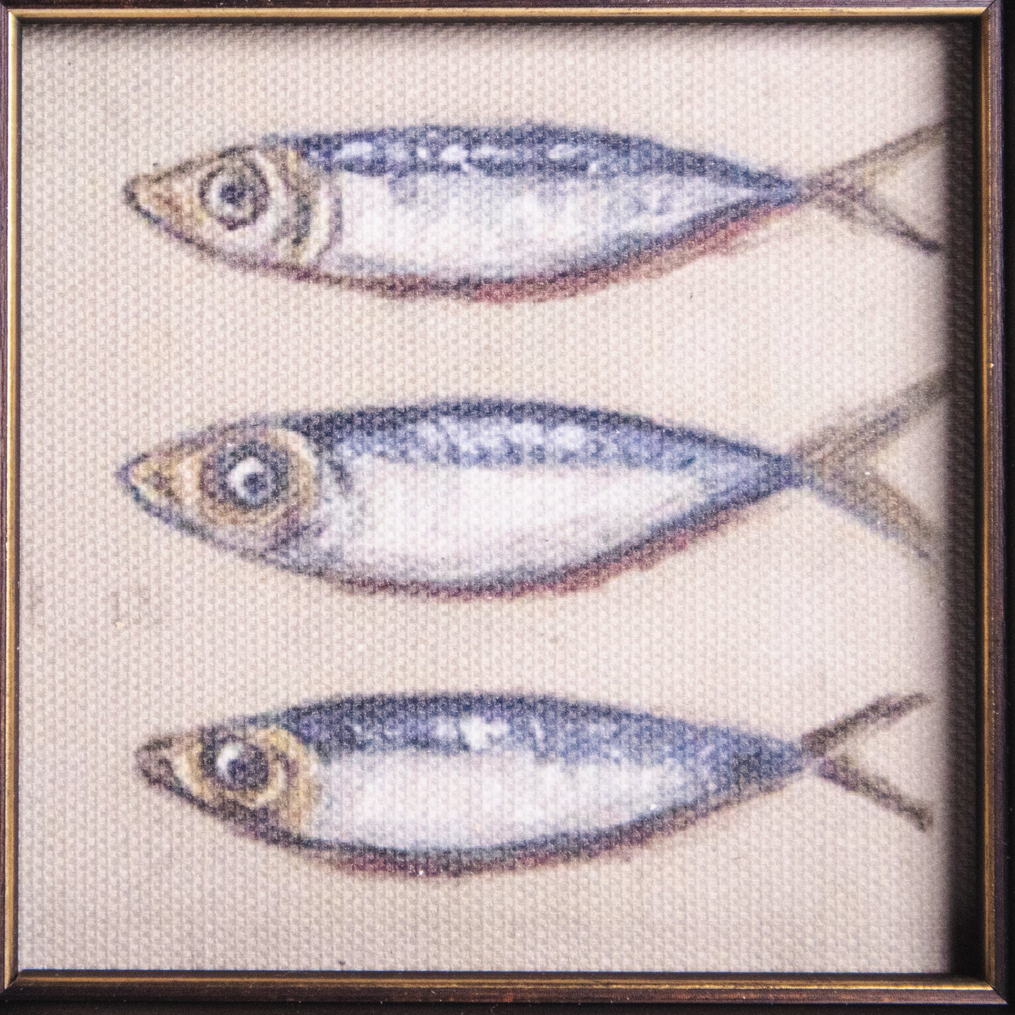 Three Fish Framed Wall Art