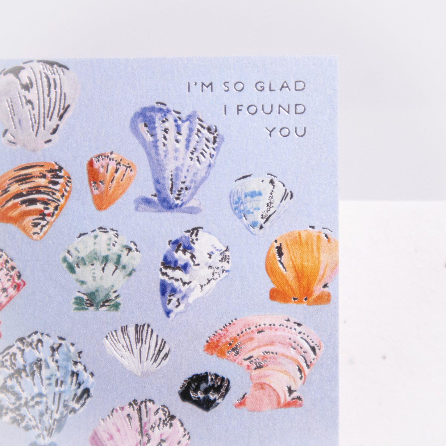 So Glad I Found You Seashells Greeting Card