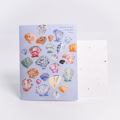 So Glad I Found You Seashells Greeting Card