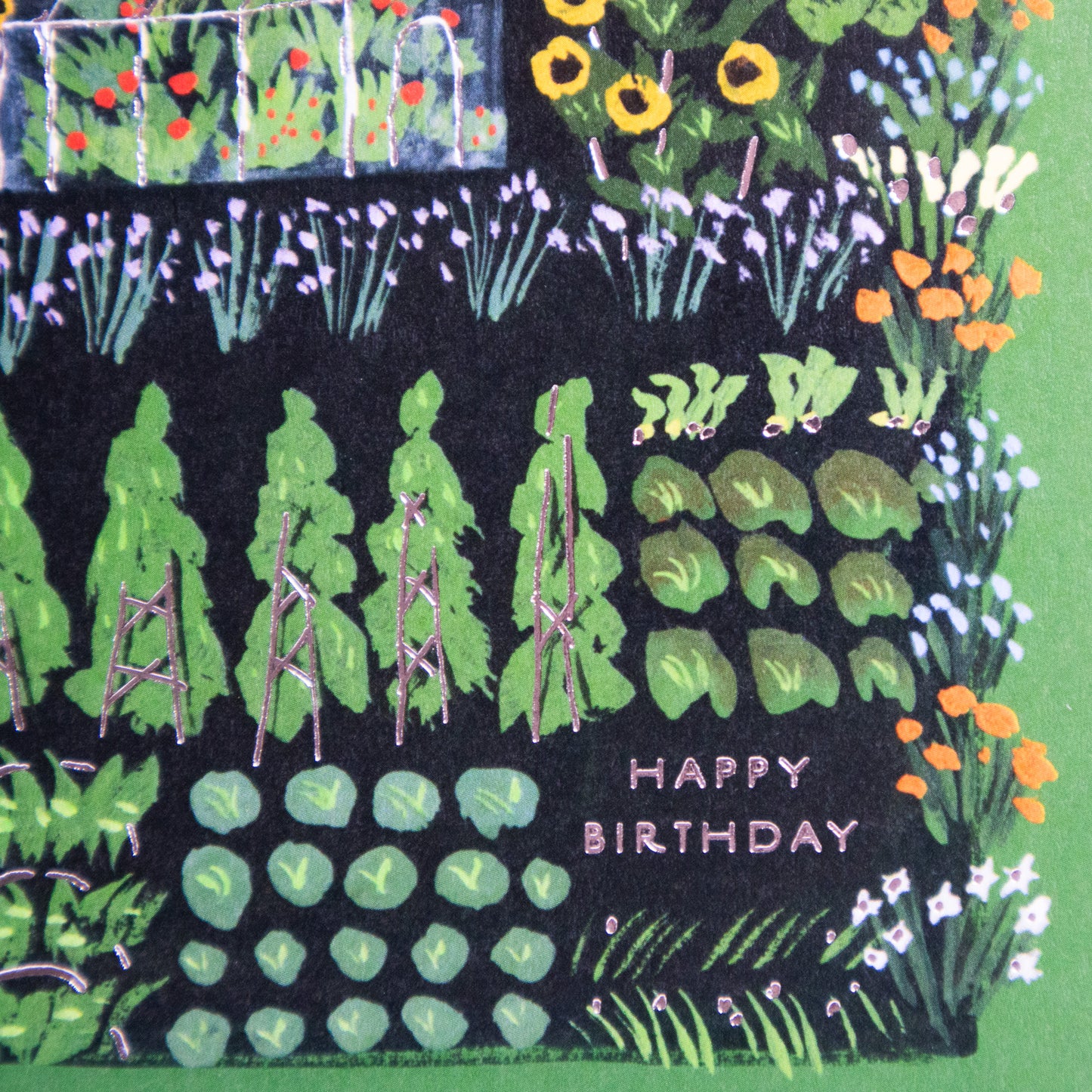 Greenhouse Happy Birthday Greeting Card