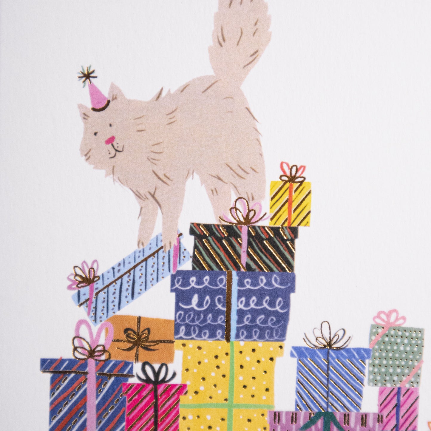 Litty Kitty Greeting Card
