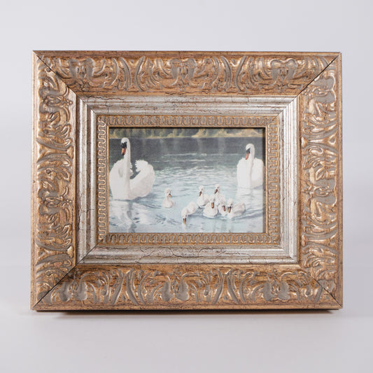 Swan Family Framed Wall Art