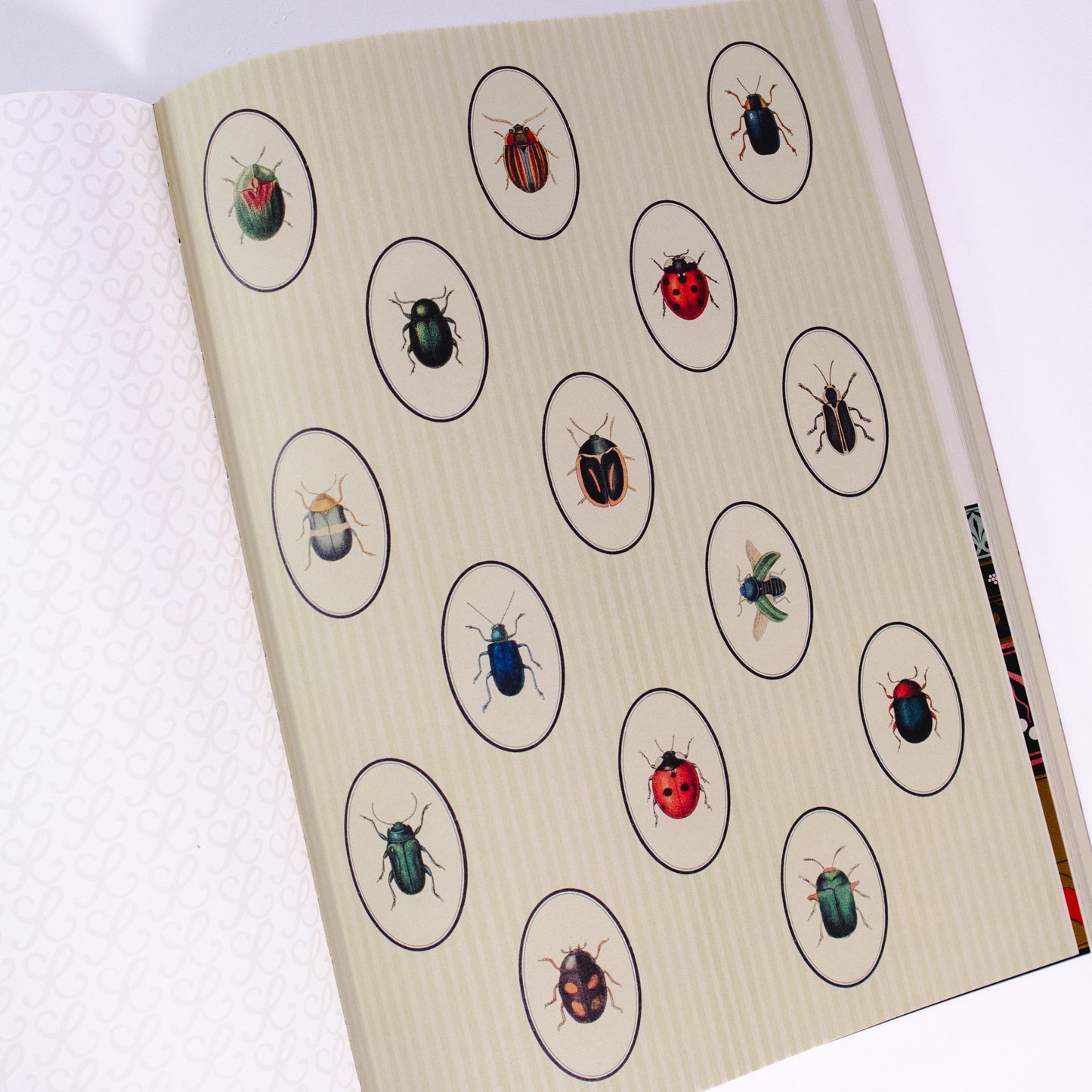 The Collage Compendium Book