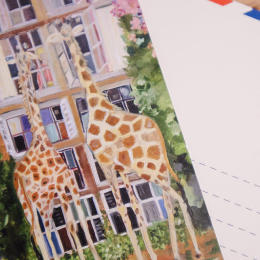 Giraffe Postcard