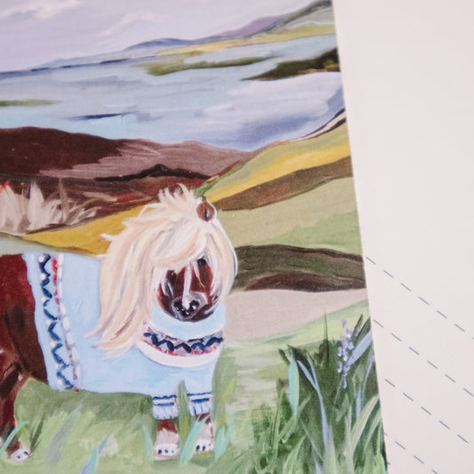Shetland Pony Postcard