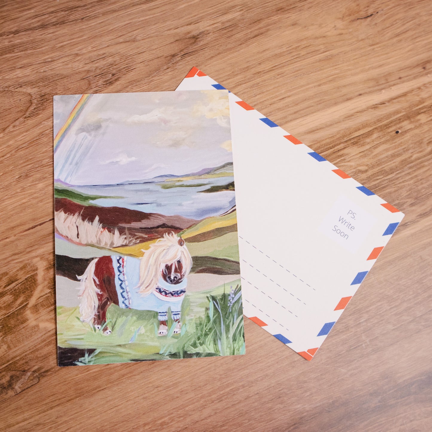 Shetland Pony Postcard
