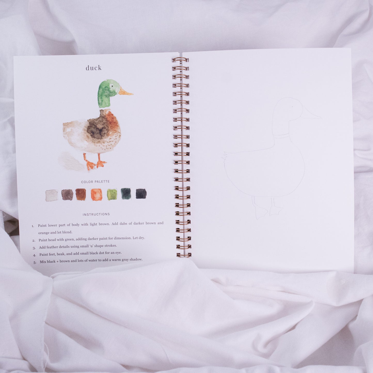 Animals Watercolor Workbook