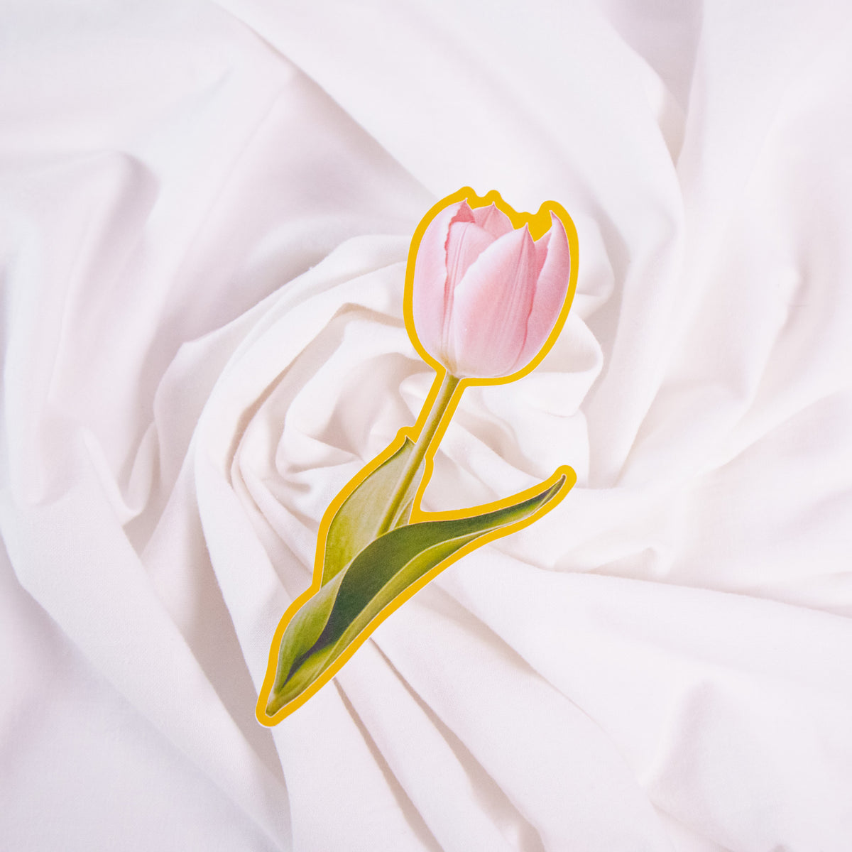Tulip Sticker