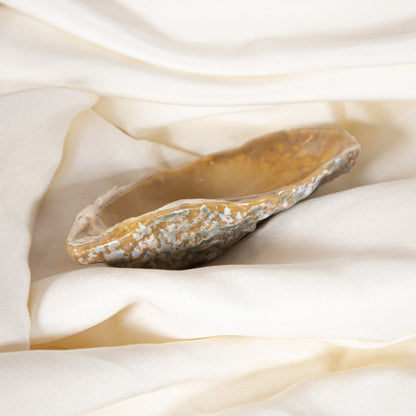 Oyster Shell Jewelry Dish