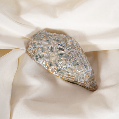 Oyster Shell Jewelry Dish