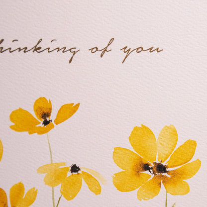 Thinking Of You Daisies Greeting Card