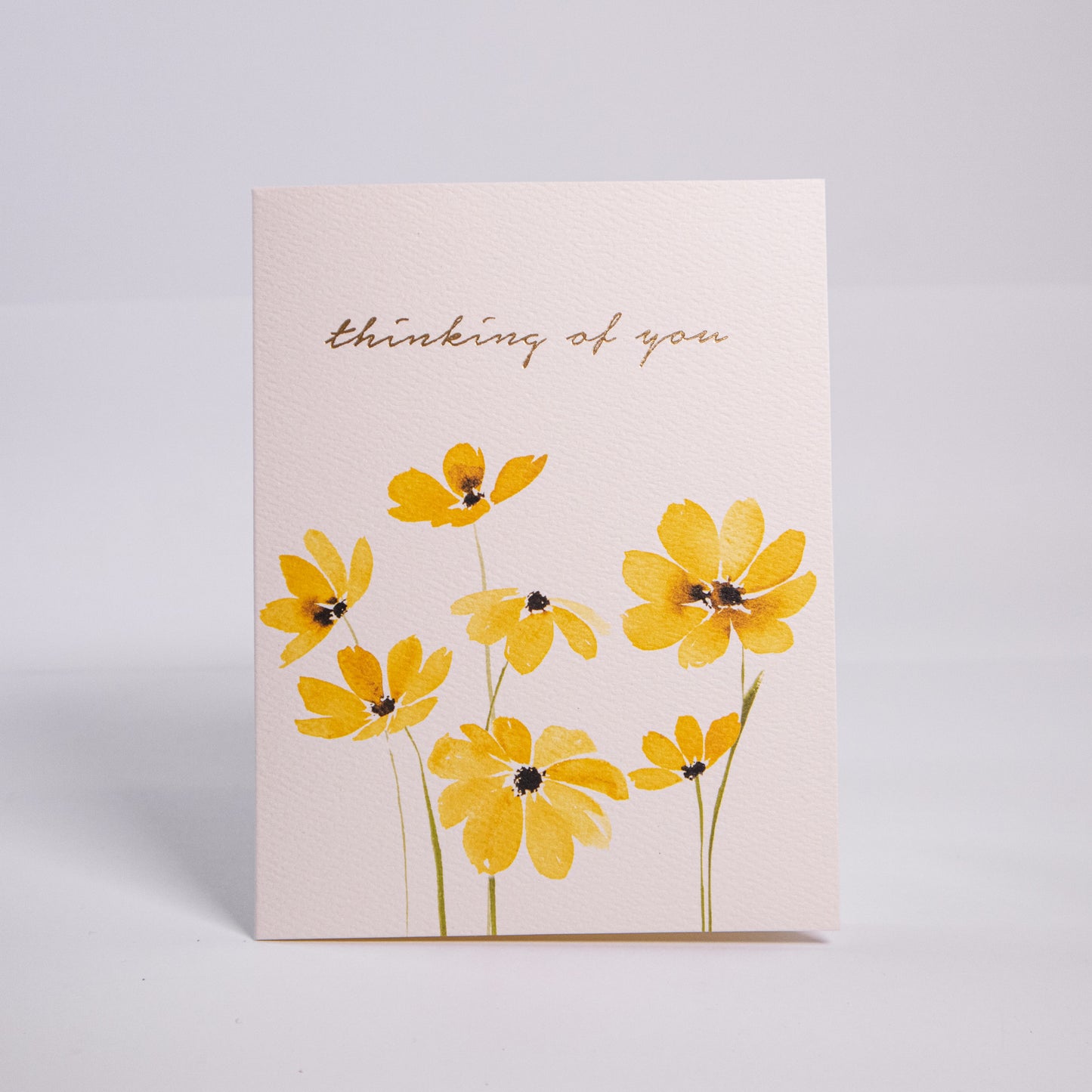 Thinking Of You Daisies Greeting Card