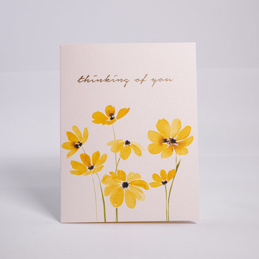 Thinking Of You Daisies Greeting Card