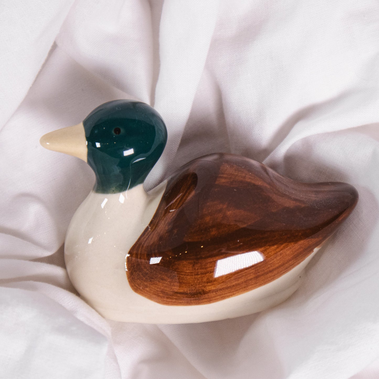 Mallard Duck