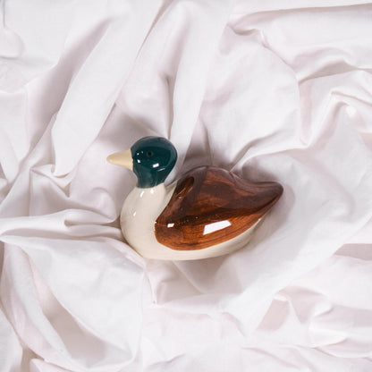 Mallard Duck