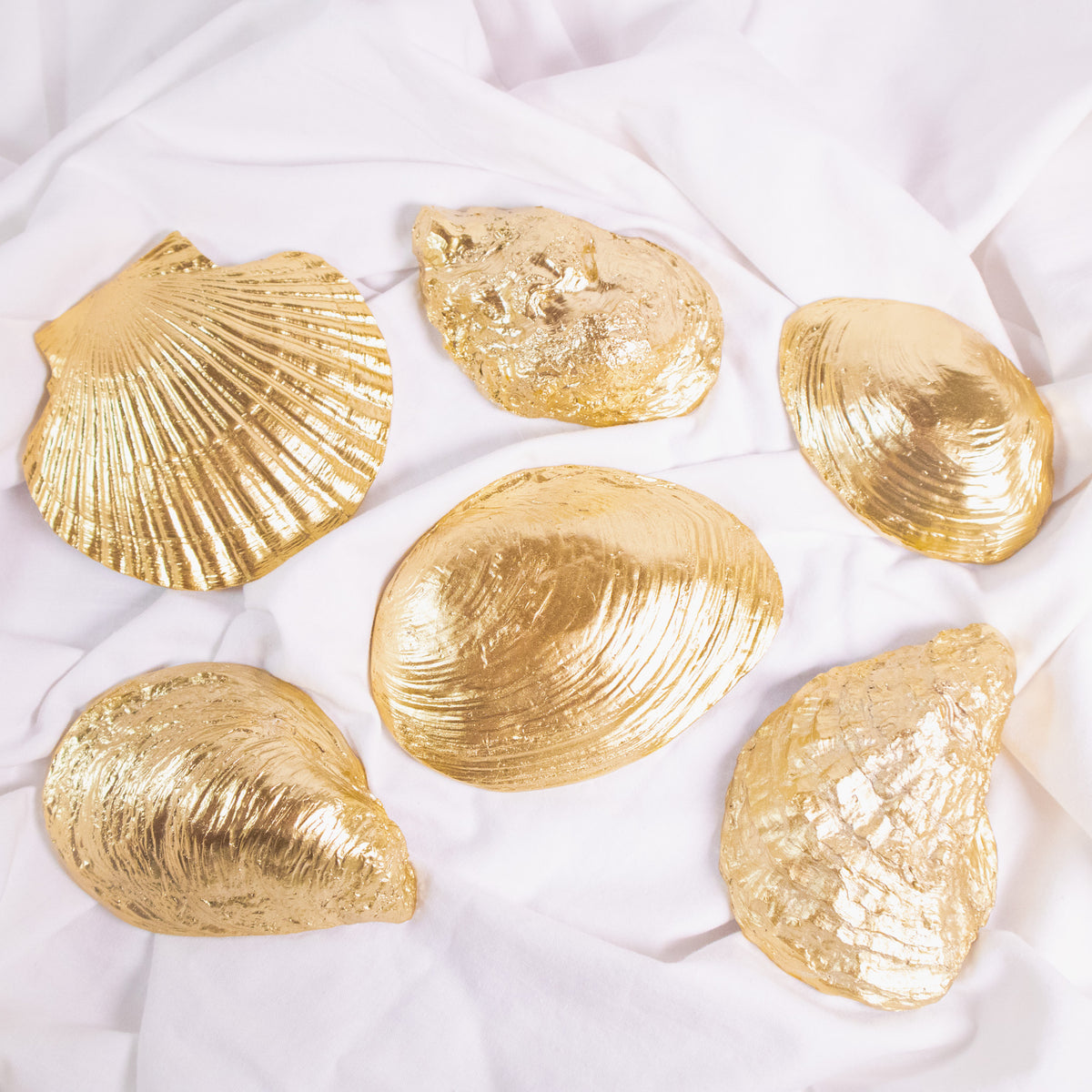 Sea-Themed Shell Dish
